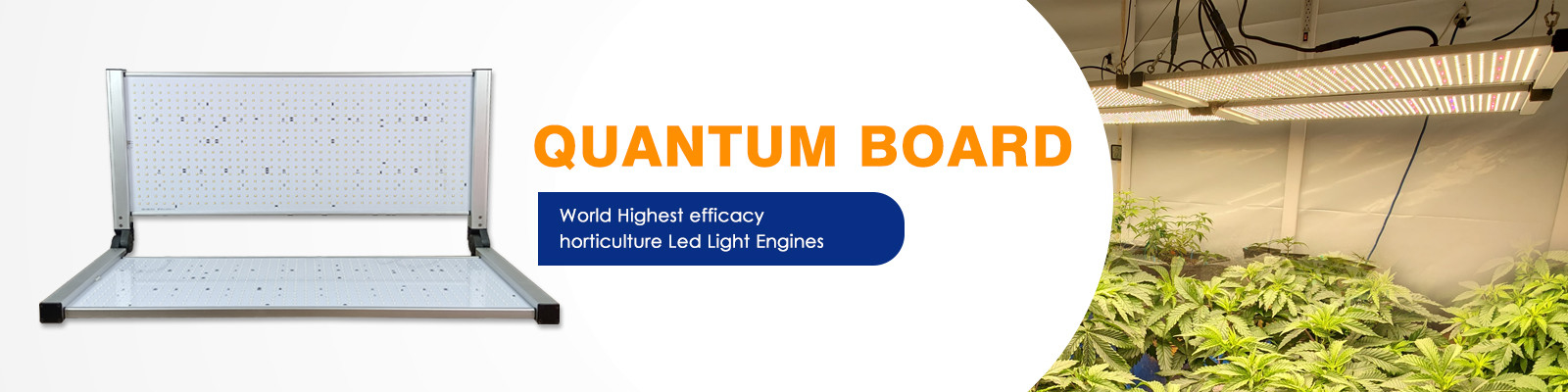 Quantum Board LED Grow Lights