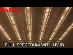 480W Samsung LM301H Horticulture LED Grow Lights For Greenhouse