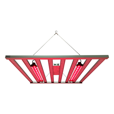 800W 8Bars Samsung LM281B Lampu LED Spektrum Penuh Untuk Hidroponik Indoor 4x4 kaki